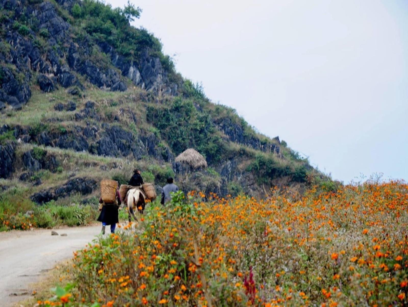 Hang Thuong Hostel - Motorbikes And Tour Hà Giang Ngoại thất bức ảnh